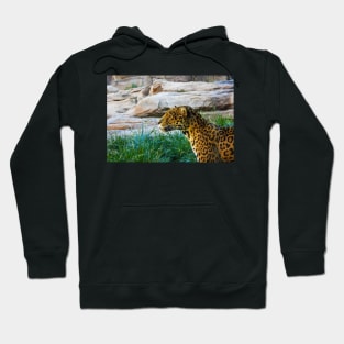 Leopard Hoodie